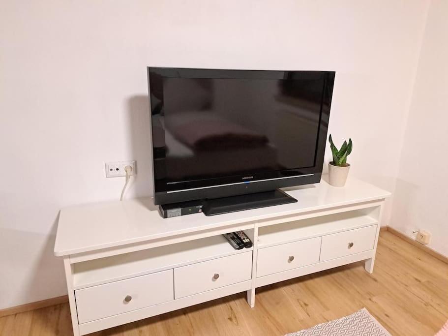 Ferienwohnung Zanier Gaissau  Экстерьер фото